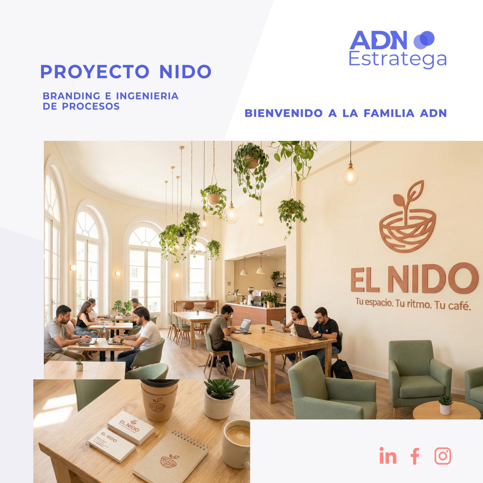 Proyecto 6